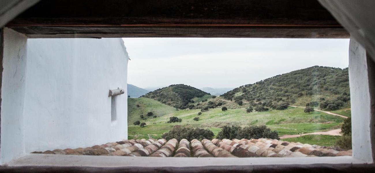 La Donaira Guest House Montecorto Exterior photo